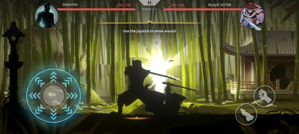 Shades: Shadow Fight Roguelike