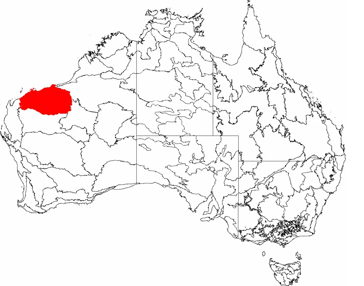 kraton-pilbara