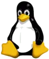 Linux coraz częściej…