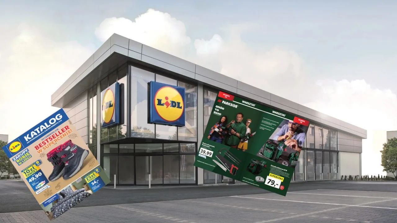 Lidl najtańszym dyskontem. Promocja na elektronarzędzia i coś dla miłośników zwierząt