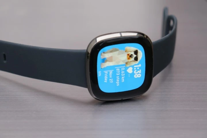 FITBIT Sense 0556