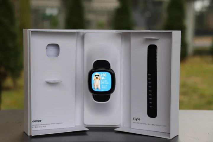 FITBIT Sense 0569