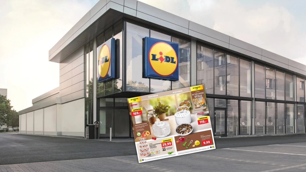 Lidl sprzedaje frytkownicę beztłuszczową jak za darmo. Jest okazja