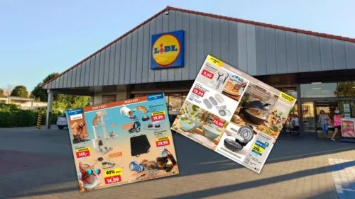 Lidl wyprzedaż gadżety dla psów kottów pizza 08 2024