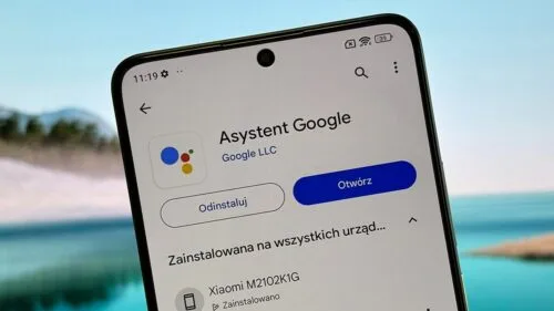 Asystent Google bez kilkunastu funkcji. Początek końca usługi?