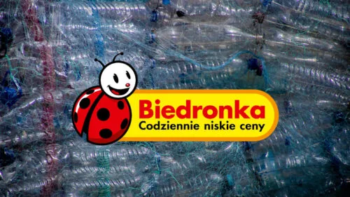 Biedronka wymieni butelki na pieniądze. Regulamin akcji to natomiast kpina