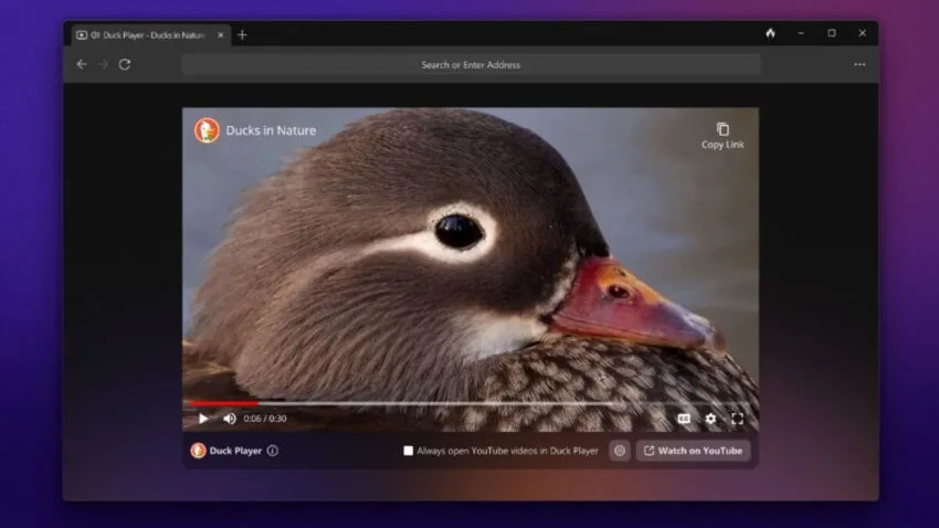 DuckDuckGo z przeglądarką na system Windows. Można czuć się bezpiecznie?