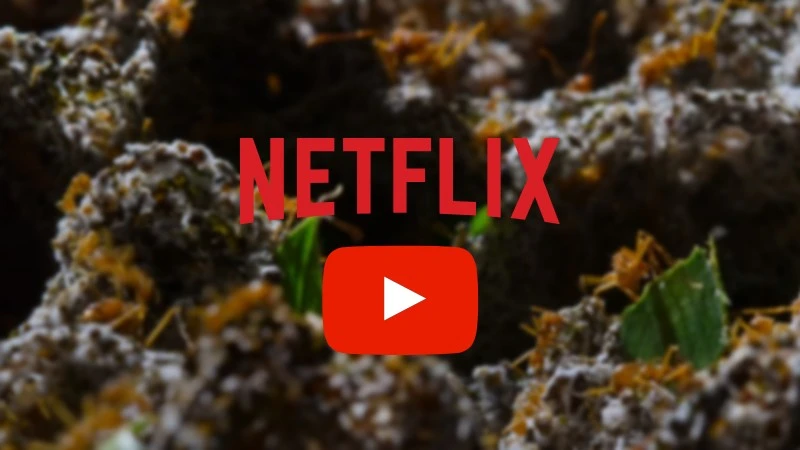Filmy i seriale z Netflixa za darmo na YouTube. Gdzie je zobaczyć?