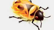 Firebug 1.8.0 ze wsparciem dla Firefox 5.0