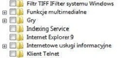 Windows 7: Wyłączanie zbędnych funkcji systemu