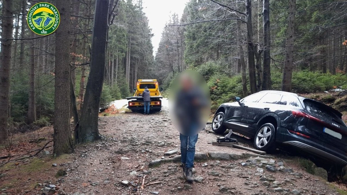 Niemiec zaufał Google Maps. Wjechał Audi na czarny szlak