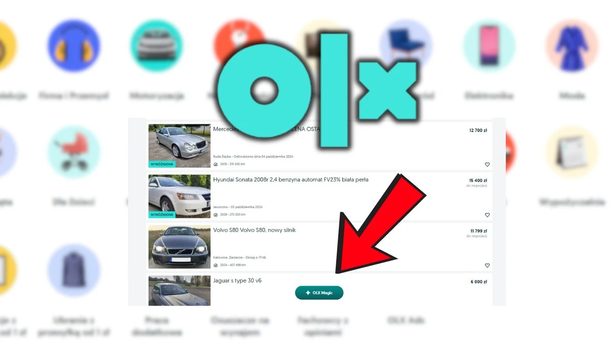 OLX Magic to tajemnicza funkcja dla wybranych. Zobacz, jak skorzystać