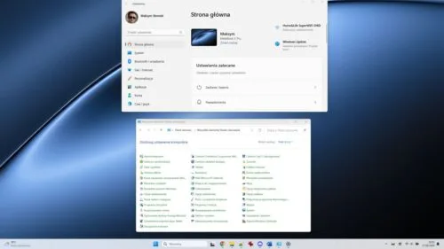 panel sterowania nie zniknie z windows 11