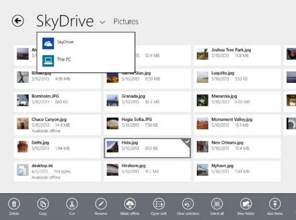 skydrive81