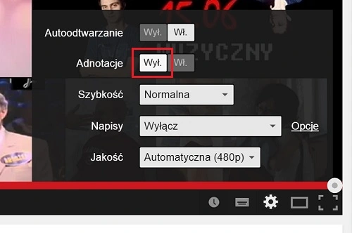 yt adnotacje 2